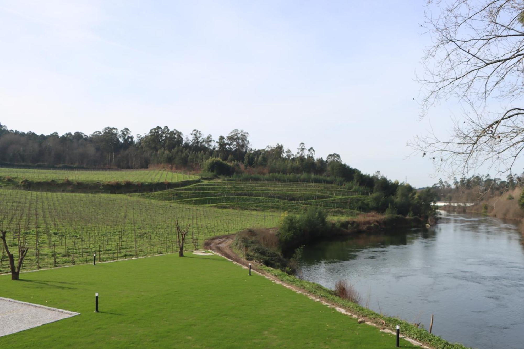 Quinta Das Areias - Solar Da Pena Villa Braga Exterior foto